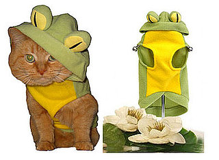 Cats' Costume Ideas . . . Can't Get Much Cuter Than This!