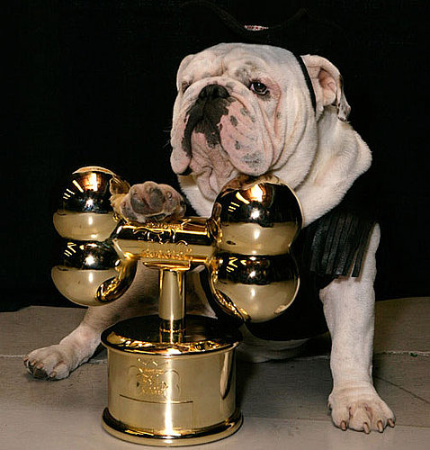 And the 2008 Worldwide Fido Award Goes To . . . 