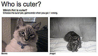 Two Little Cutie Pies, Do You Have a Fave?