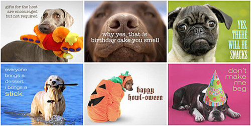 The Scoop: Evite Adds a Pet Party Invitation Section!