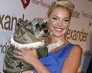 In the Spotlight: No More Pups or Heigl's in the Doghouse!