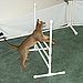 High Hurdles