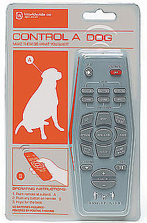 Control a Dog Remote Powered by Positive Thinking