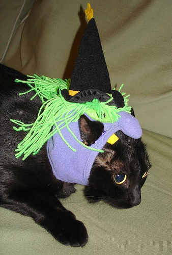 Hellooo, Witchy Poo Hellooo, Witchy Poo