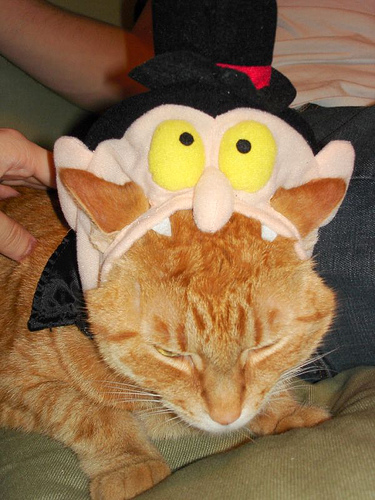 Gobble Goblin Gobble Goblin