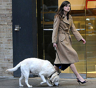 Keira Knightley Lallygags with Lovely Lab Last Night