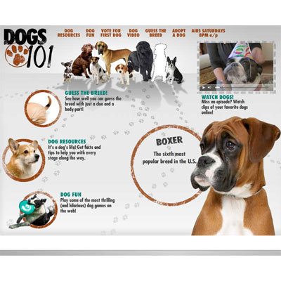 What Did We Learn About the Latest Breeds on Dogs 101?
