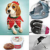 Pet's November Must Haves