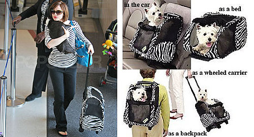 Found! Rose McGowan's Four-in-One Pet Carrier