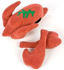 Gobble, Gobble Gift Guide: Turkey Toys For Thankful Dogs 