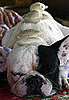 Do Tell: What Pampering Treatment Would Please Your Pet?
