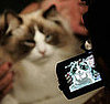Tune In, Saturday! Animal Planet Premieres Cats 101