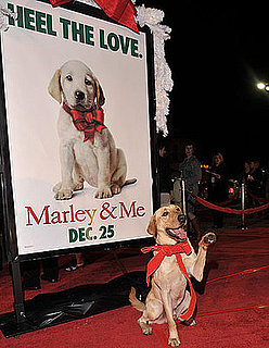 Will You Go See Marley & Me in Theatres? 