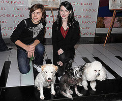 Bring Home One of the Furry Faces From Hotel For Dogs! Bring Home One of the Furry Faces From Hotel For Dogs!