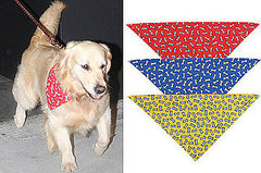 Found! Deck the Dog Like Nicollette's For Under Three Bucks