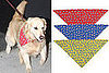 Found! Deck the Dog Like Nicollette's For Under Three Bucks