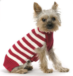 Come PetMarking With Me: Cozy Sweaters