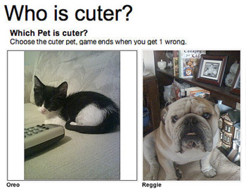 Who's the Cutest of Them All? 