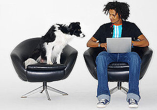 Where Do Fido and Fluffy Shop Online?
