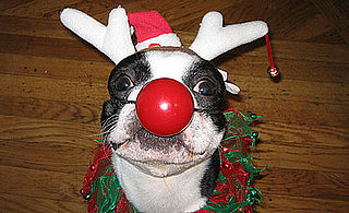 Merry Christmas From North!