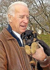 The Scoop: Joe Biden Picks His Puppy The Scoop: Joe Biden Picks His Puppy