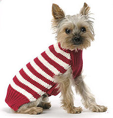 Come PetMarking With Me: Cozy Sweaters