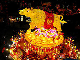 Quiz Nation! Happy Chinese New Year 