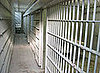 "Snake Man" Slithers Out Of Prison