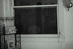 Alien video: Puppet or Real E.T.?