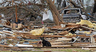 Huge Storms In Iowa and Minnesota Kill Eight