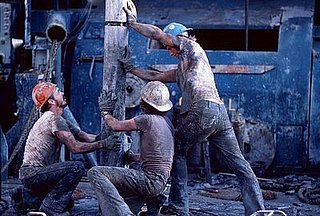 Bush, Reid Drilling Each Other Over Oil, McCain Turns Green