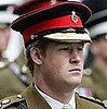 Prince Harry Honors Fallen Soldiers