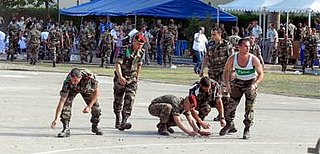 French Army Chief Resigns After Shooting