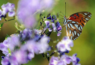 Eight New Wonders of the Natural World Added to List