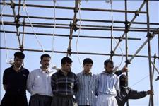 Iran Hangs 29 People