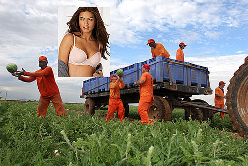 Lost Your Job? Maybe a Felon Found It! Prison Gigs Aplenty...