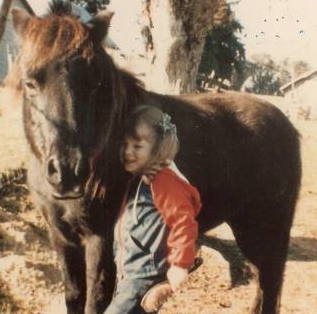 Off the Table? House Considers Ban on Killing Horses For Food