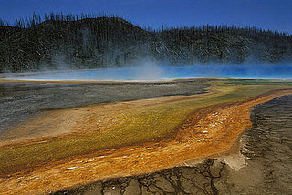 Can You Hear Me Now Yogi Bear? Cell Phones in Yellowstone