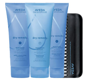 New Product Alert: Aveda Dry Remedy System 