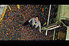 lil Big Screen: Bedtime Stories