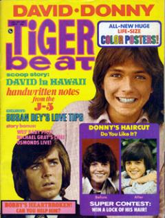 Lil Links: Who Was Your Childhood Celebrity Crush?