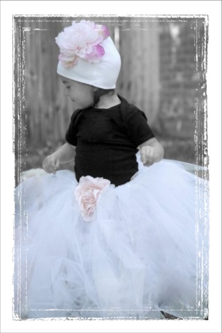 Cinderella Tutu ($35)