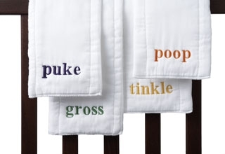Gross Burp Cloths: Kid Friendly or Are You Kidding?