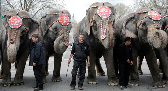 Do You Take Your Kids to the Circus? Do You Take Your Kids to the Circus?