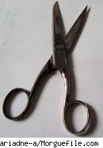 Lil Links: Denmark May Ban Circumcision