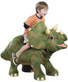 KOTA The Triceratops KOTA The Triceratops