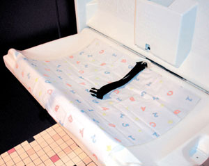Clean and Green Changing Table Cover