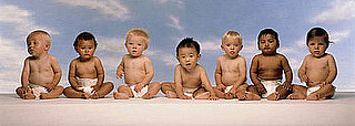 New Baby Boom