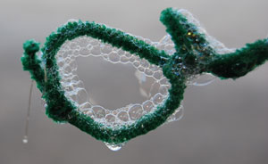 Pipecleaners for Bubbles