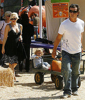 Pumpkin Patch